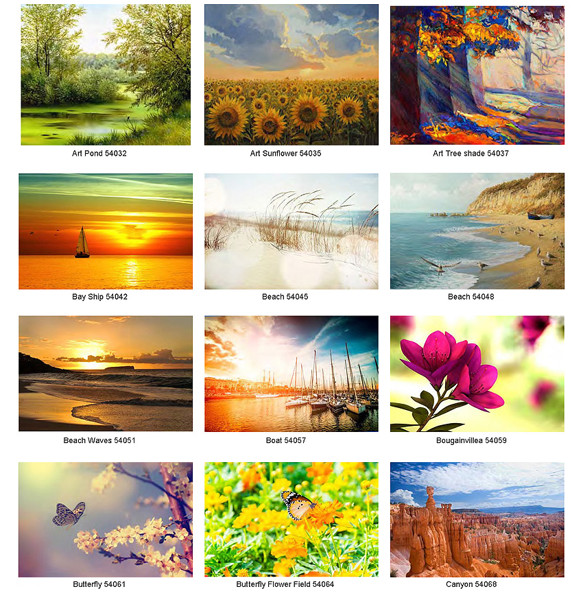 WebbShade Custom Image Catalog